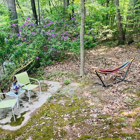 Modern Cabin With Hot Tub Grill Lake Beach Wineries Hiking Fishing And Hershey Park Family And Pet Friendly Superhosts On Ab&B Mount Gretna Екстериор снимка